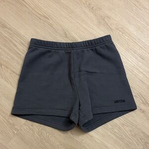 Aritzia Sweat Fleece Perfect Fit Dark Blue Sweat Shorts